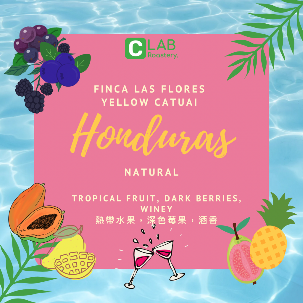 honduras-finca-las-flores-yellow-catuai-natural-c-lab-roastery